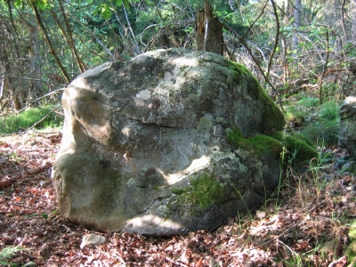 La pierre déplacée